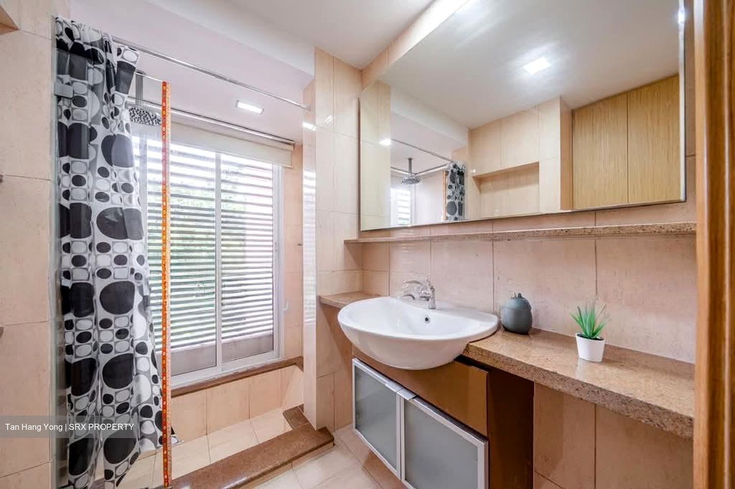 Savannah Condopark (D18), Condominium #572564871